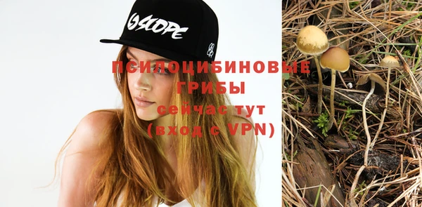 герыч Богданович